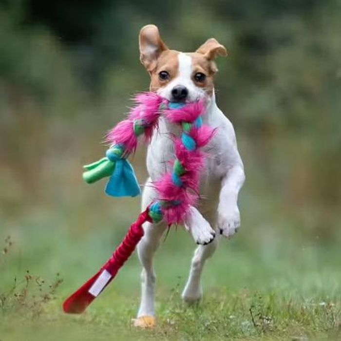 Doggie-Zen Elastisk aktivitetsleke i fleece og juksepels