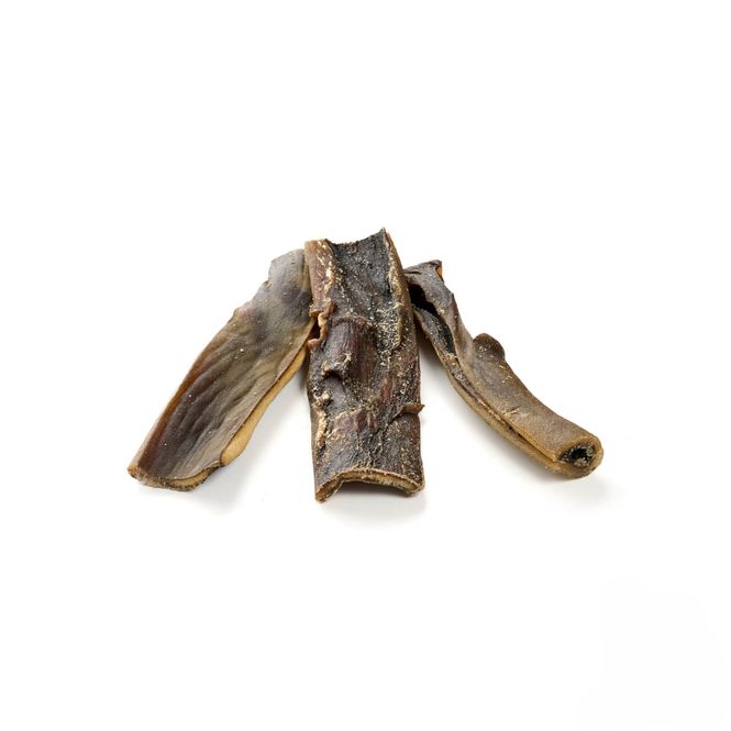 Hovedbilde Camel scalp - kamelhud