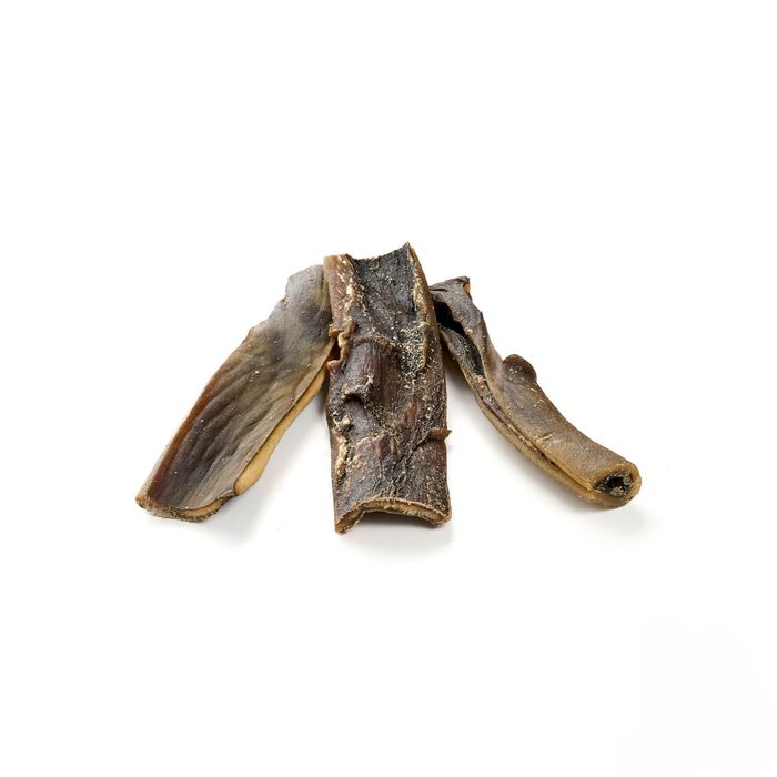 Camel scalp - kamelhud