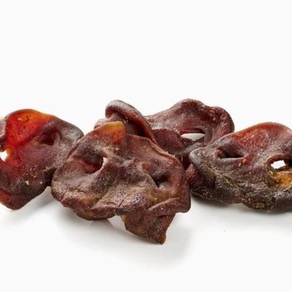 Hovedbilde Grisenese