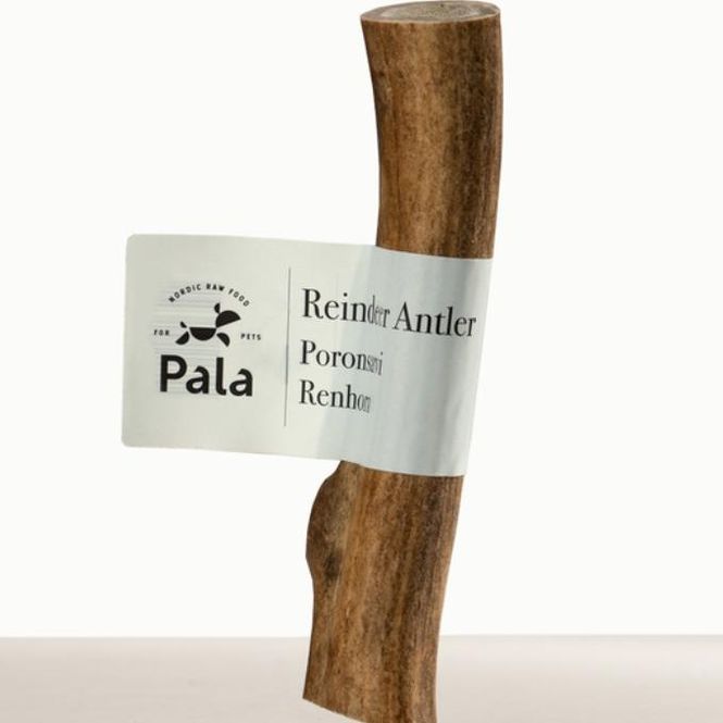 Hovedbilde Pala Reindeer Antler - reinsdyrhorn