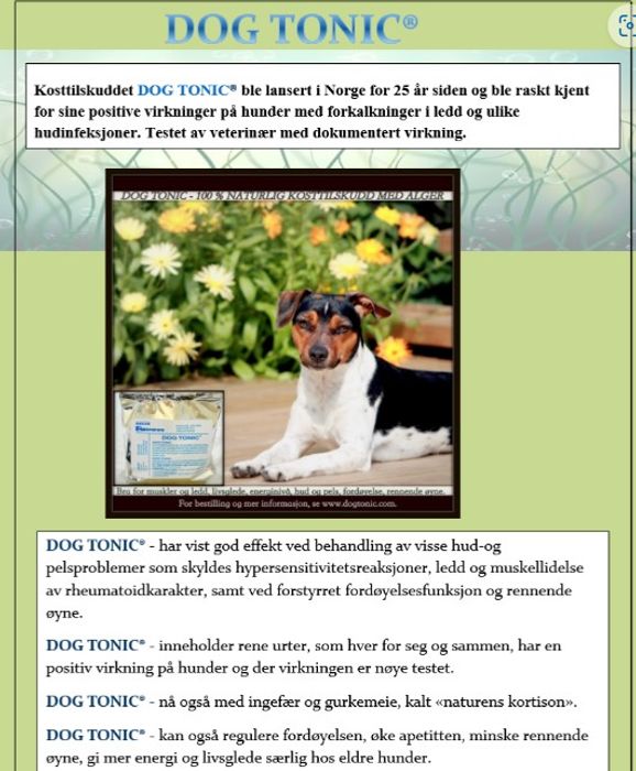 Dog Tonic