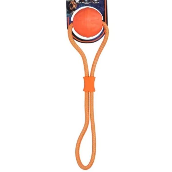 Hovedbilde Dog Comets Vortex Loop