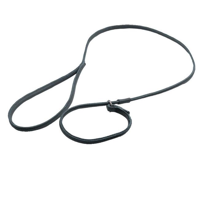 Hovedbilde Jokke Lappo rundsydd retrieverkobbel med stopper, ...